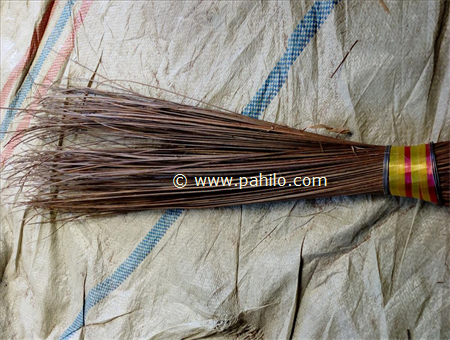 Chamki Jhadu