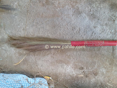 Makai Broom