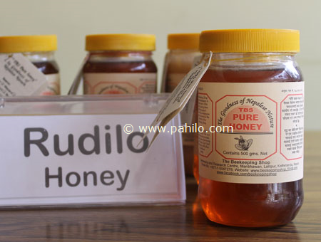 Rudilo (Pogestemon) Honey