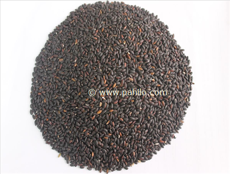 Black Rice